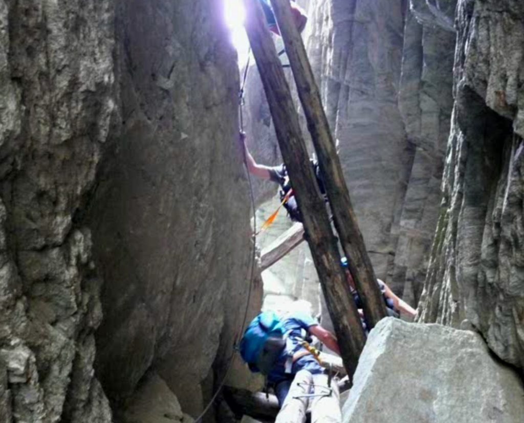 I pali in legno nella Giurva. Foto Cai Varzo