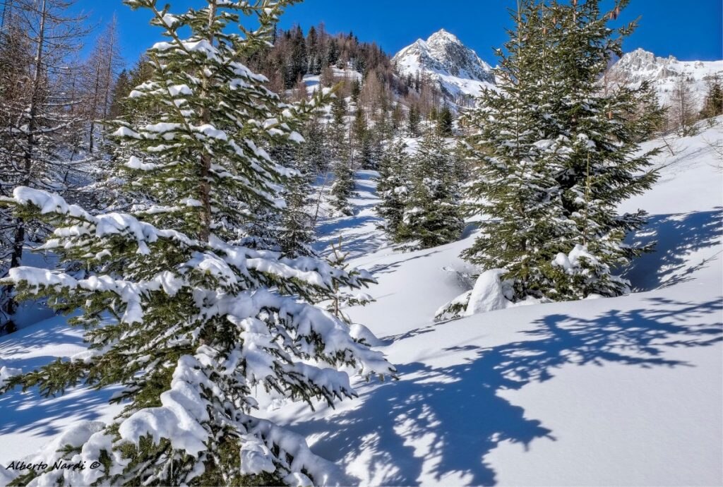 Il Chuebodenhorn e il Poncione di Cassina Baggio. Foto Alberto Nardi