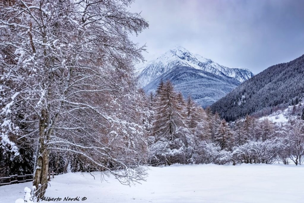 Il Monte Aviolo visto dalla Val Grande. Foto Alberto Nardi
