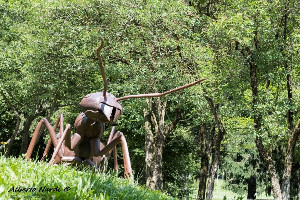 Il monumento alla Formica rufa all
