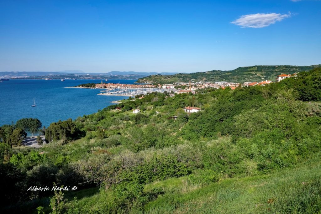 Il paese di Izola e Punta Cane. Foto Alberto Nardi