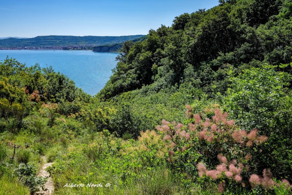 Il sentiero verso Punta Ronco. Foto Alberto Nardi
