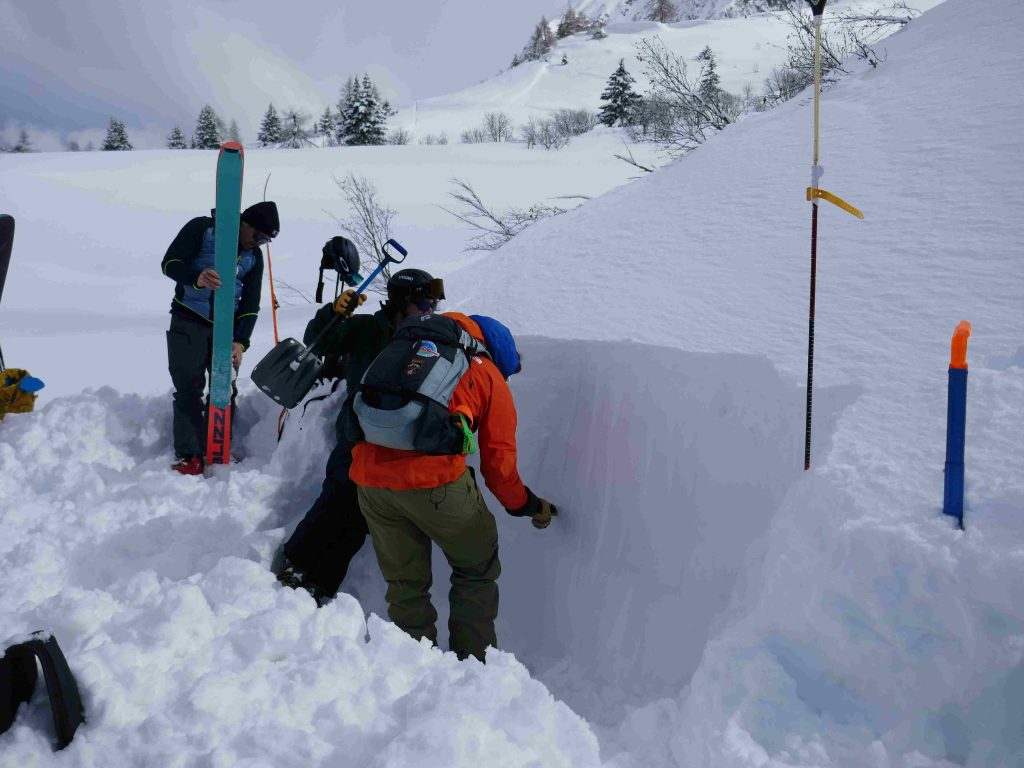 Intuizione e razionalità non sono necessariamente in conflitto tra loro, ma possono interagire e integrarsi