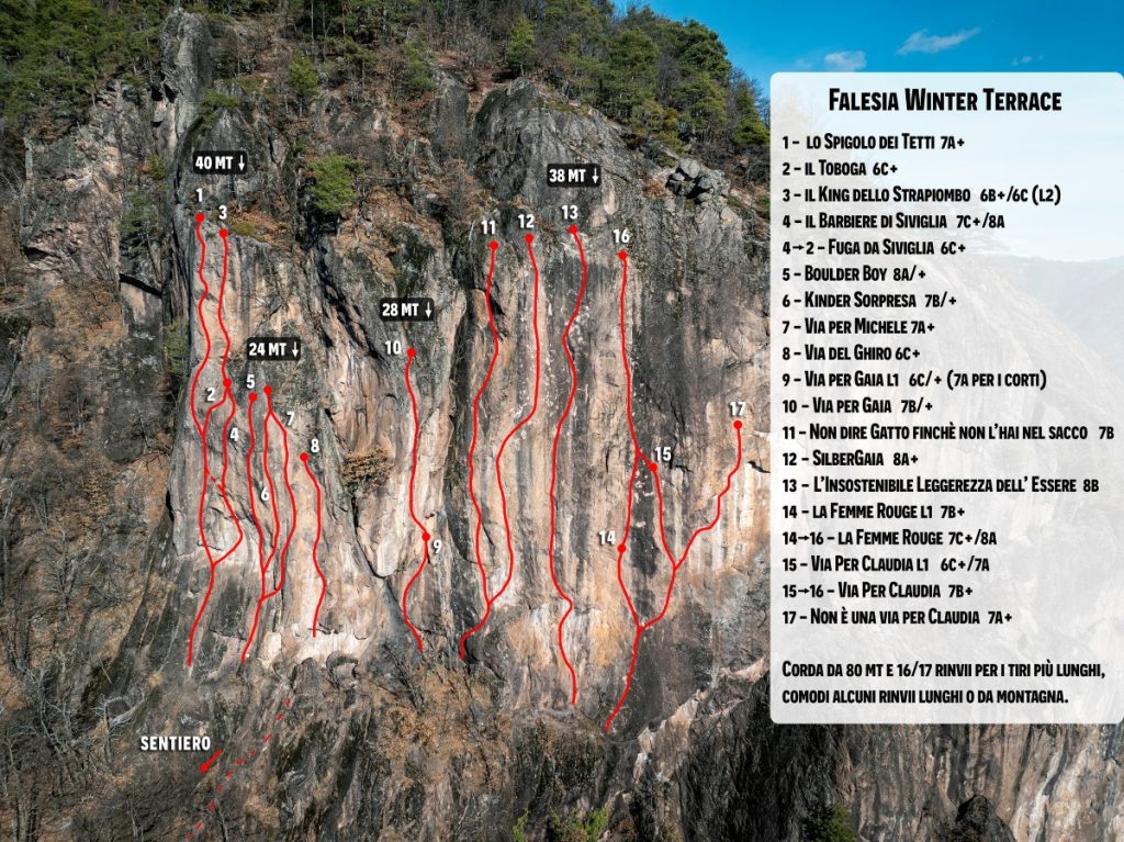 Le 17 linee di Winter Terrace