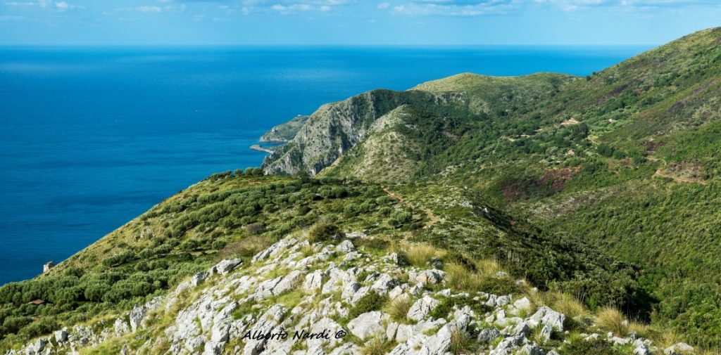 La Costa degli Infreschi, nel Parco Nazionale del Cilento. Foto Alberto Nardi