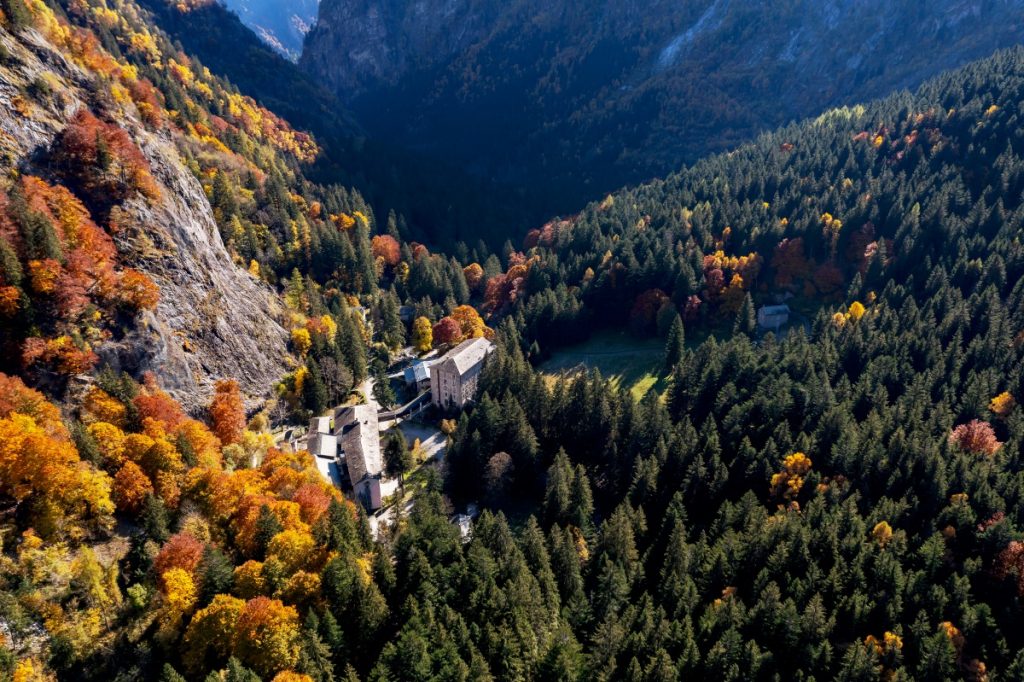 La Foresta della Val Masino (SO) @ AdobeStock