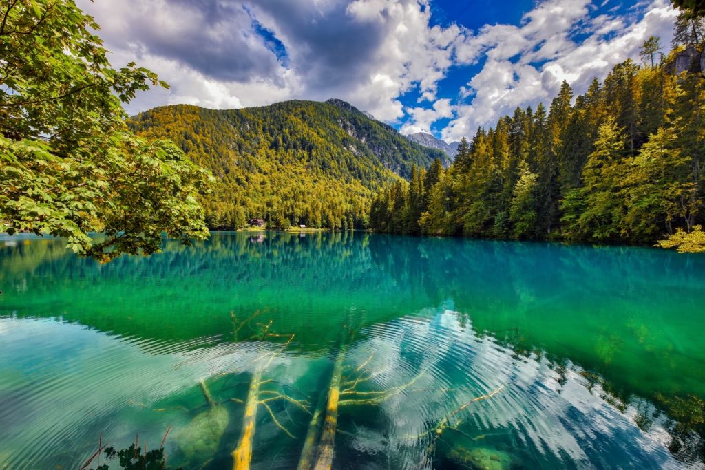 La Foresta demaniale di Tarvisio (UD), circonda i laghi di Fusine @ AdobeStock