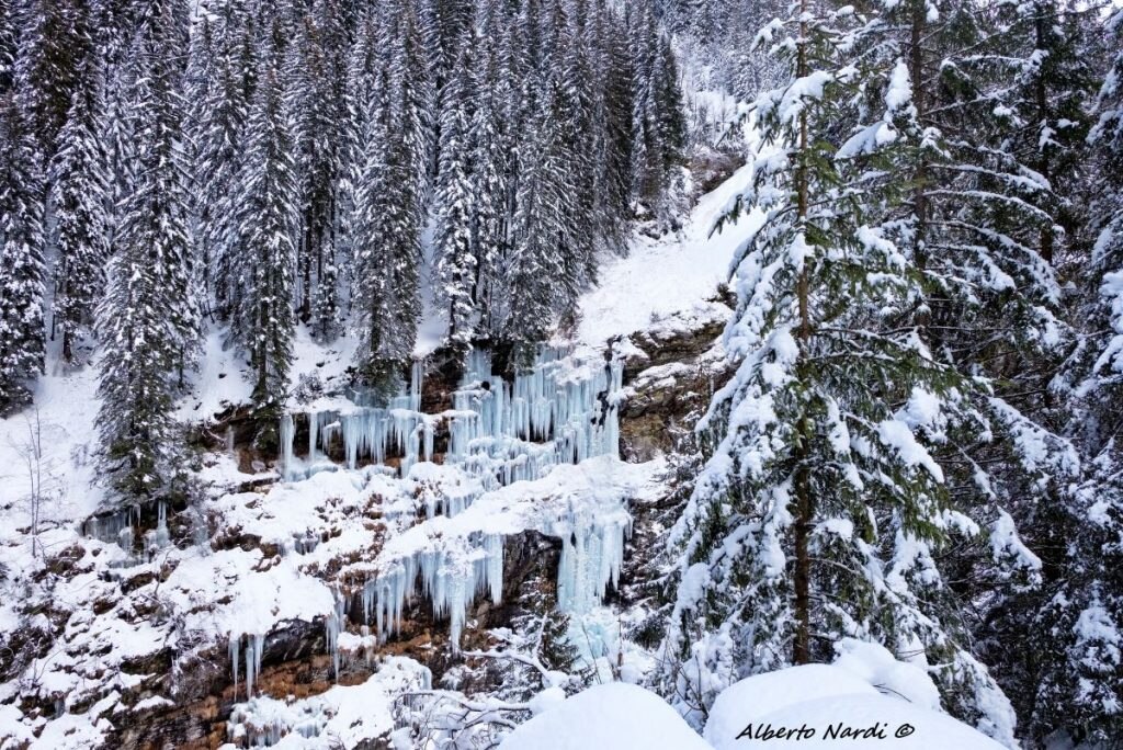 La gola del torrente Calancasca. Foto Alberto Nardi