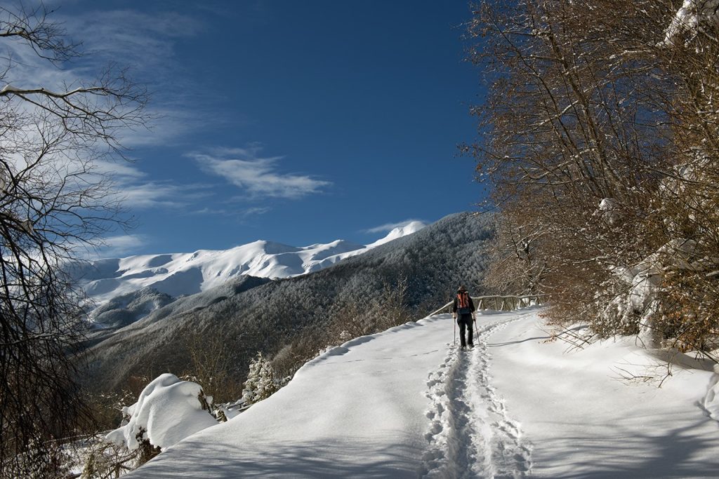 La parte iniziale della salita. Foto Roberto Carnevali