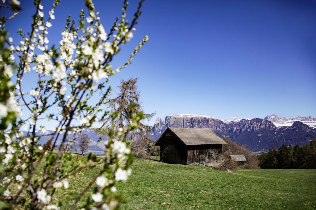 La vista sulle Dolomiti dall