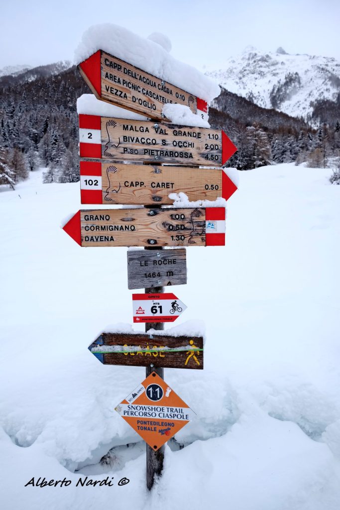Le indicazioni sono frequenti. Foto Alberto Nardi