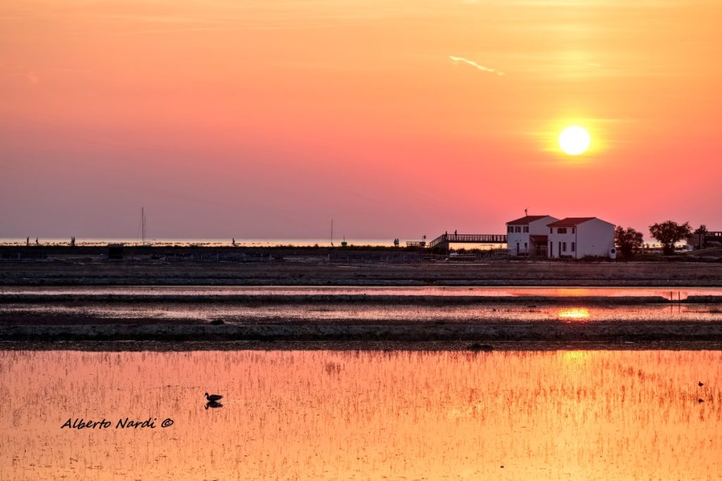 Le saline di Strugnano al tramonto. Foto Alberto Nardi