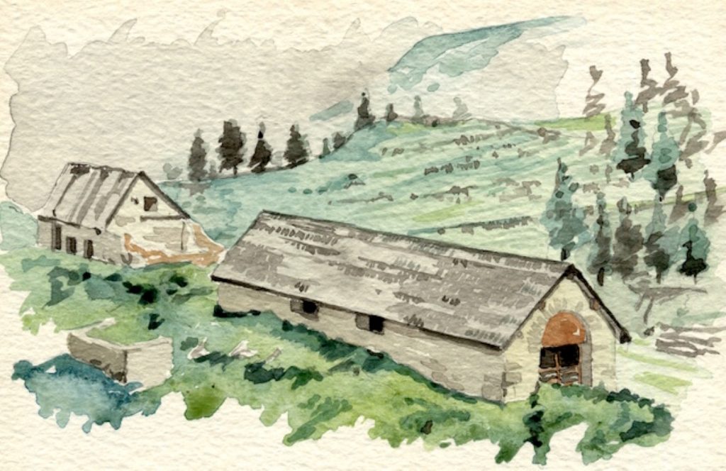 Malga Buse Bisorte in Val Gulva (TN) @Albano Marcarini