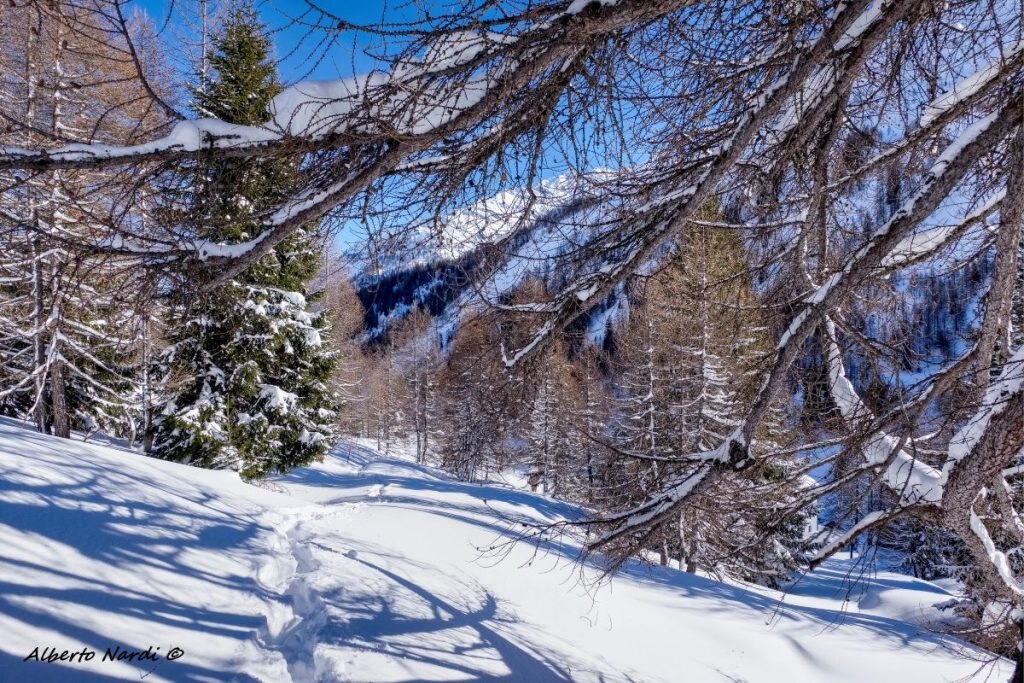 Nei pressi della località All