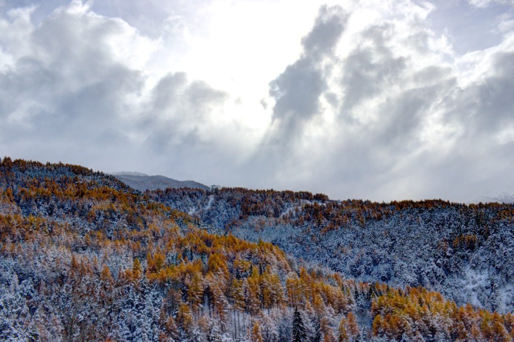Parco naturale del Gran Bosco di Salbertrand, in provincia di Torino @ AdobeStock
