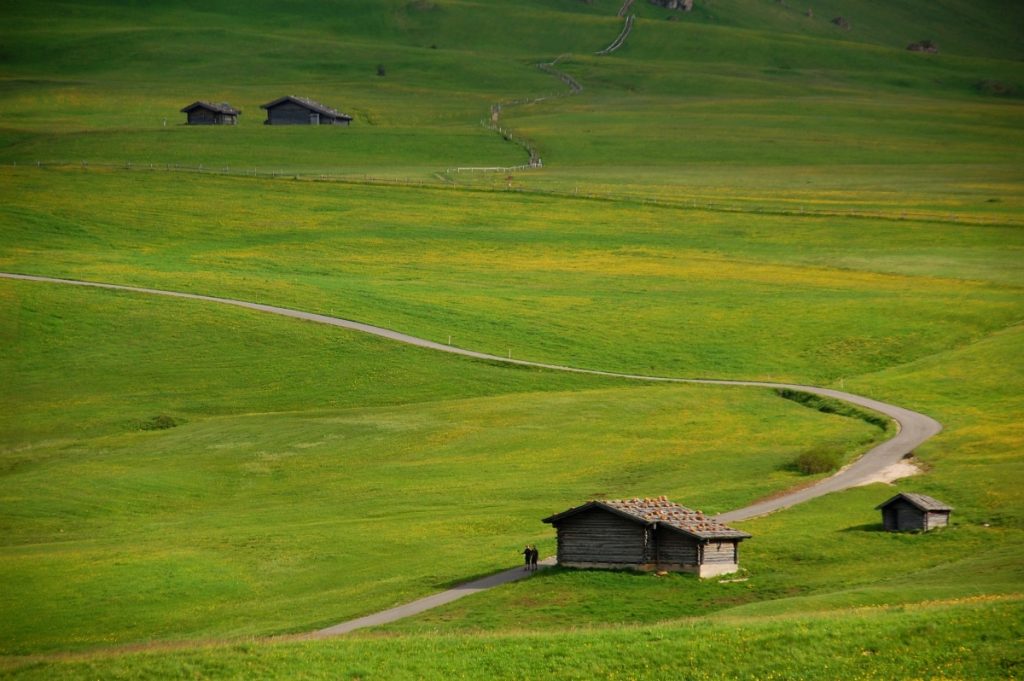 Pascoli e malghe in armoniosa simbiosi @AdobeStock