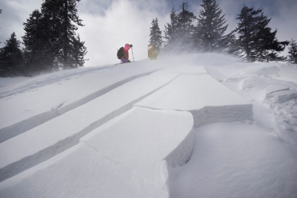 Potenziale pericolo. Foto AdobeStock