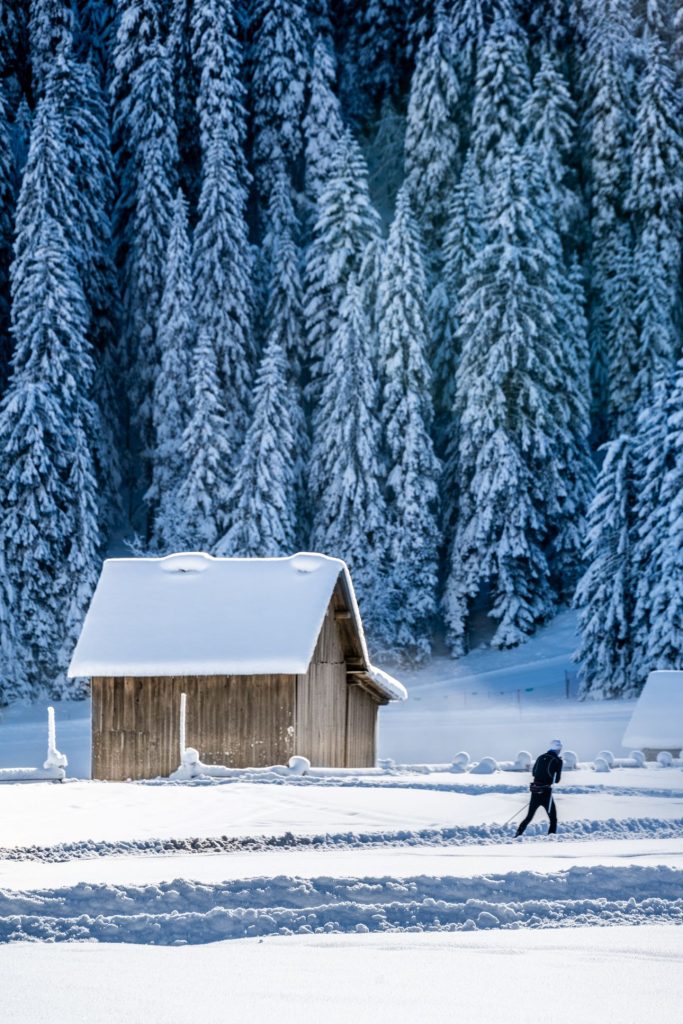 Sci di fondo a Sappada @Nicola Brollo