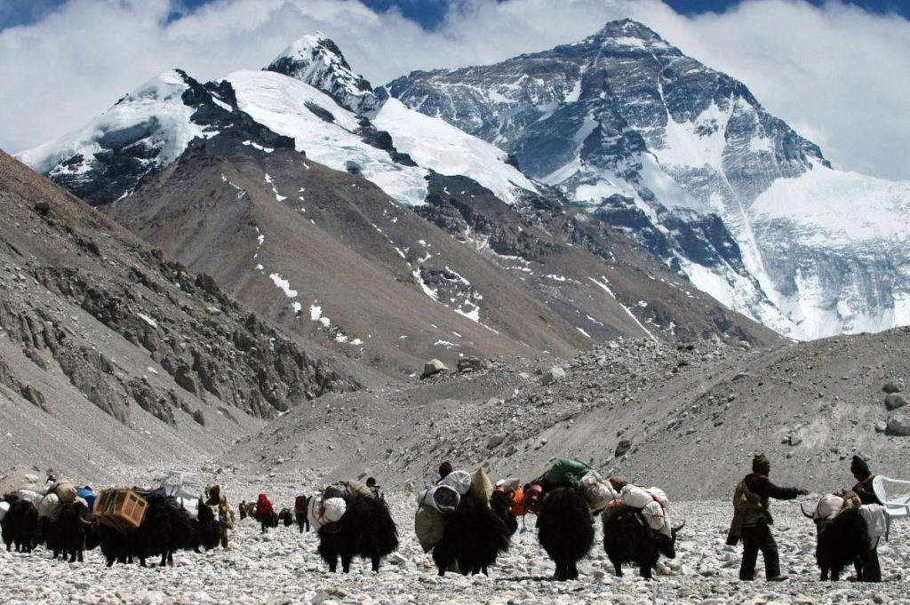 Trasporto materiale verso il CB . Foto ANSA