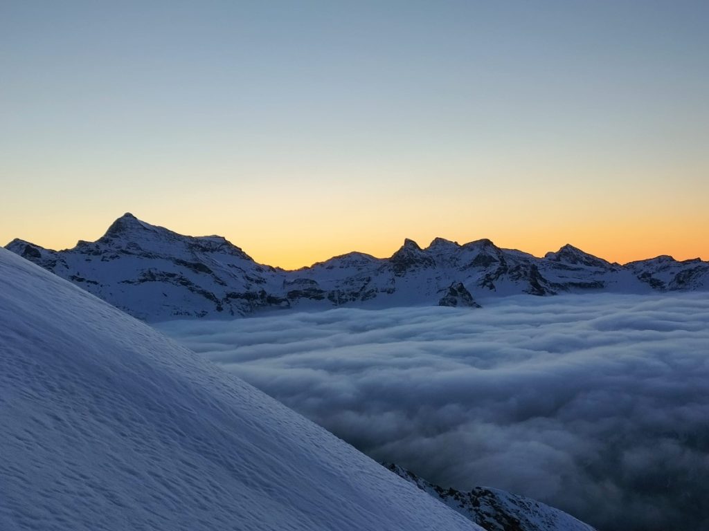 Tutto il piacere dell