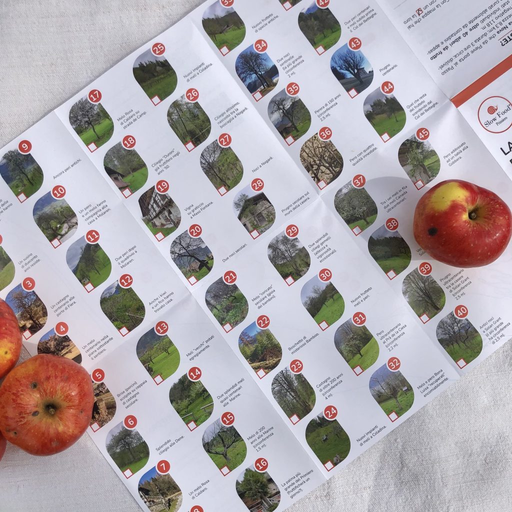 Un dettaglio della mappa