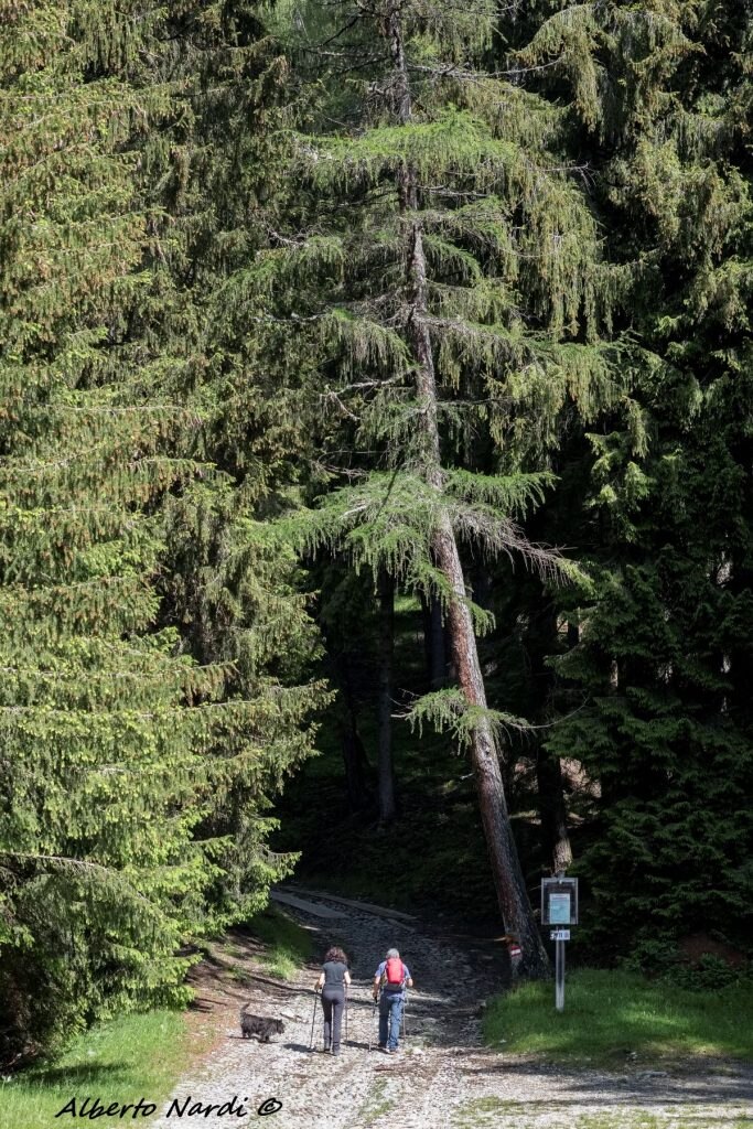 Verso il Rifugio San Fermo. Foto Alberto Nardi