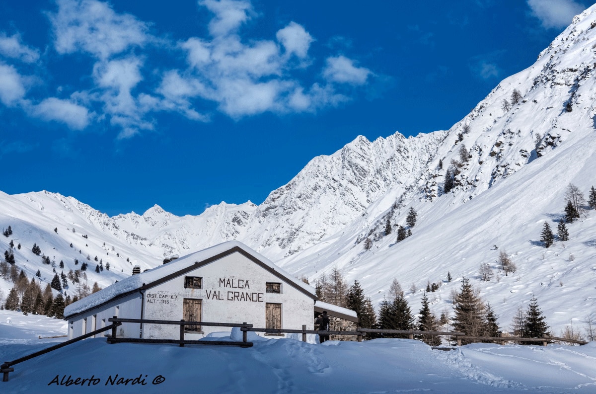 Malga Val Grande, meta dell'escusione, sul versante lombardo del Parco Nazionale dello Stelvio. Foto Alberto Nardi