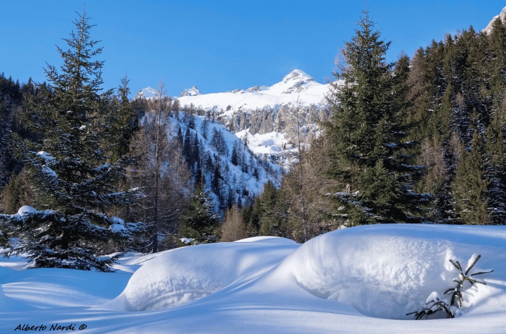 Lungo la pista per le racchette da neve che parte da Cioss Prato. Foto Alberto Nardi