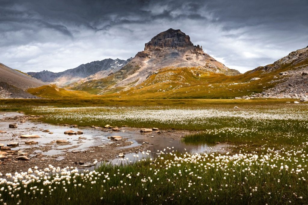 Un lac de linaigrettes, nel Parco della Vanoise. Foto di Catherine Aupetit