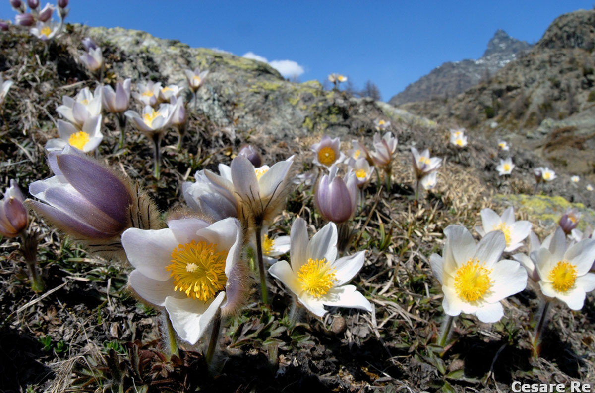 Obiettivi zoom o focali fisse? Qual è la scelta migliore per fotografare in montagna?