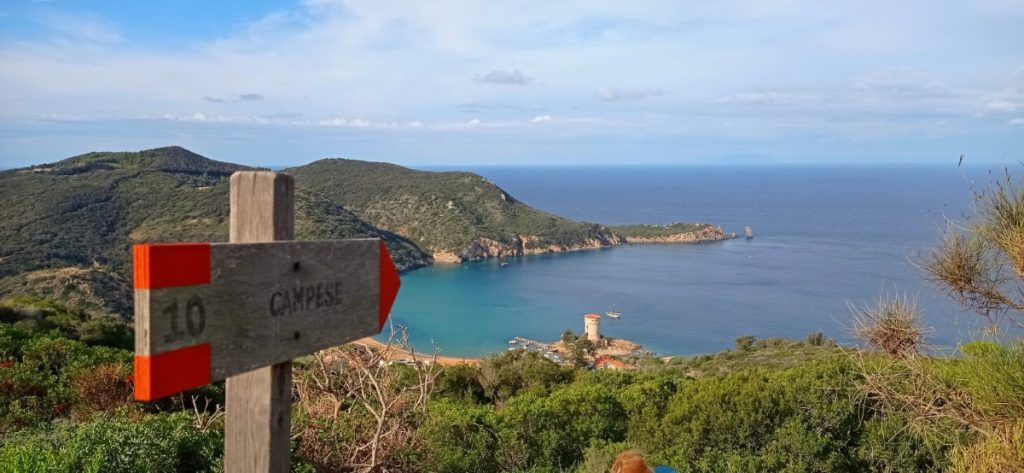 Lungo il sentiero che scende alla baia di Campese. Foto Martina Marenco