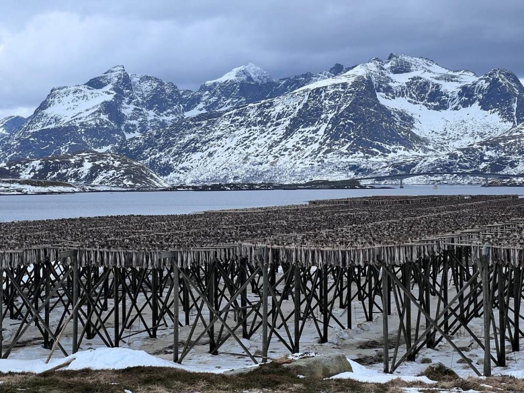 Alle Lofoten. Foto Alberto Boschiazzo