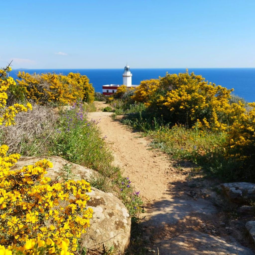 Arrivando al Faro di Capel Rosso. Foto Martina Marenco