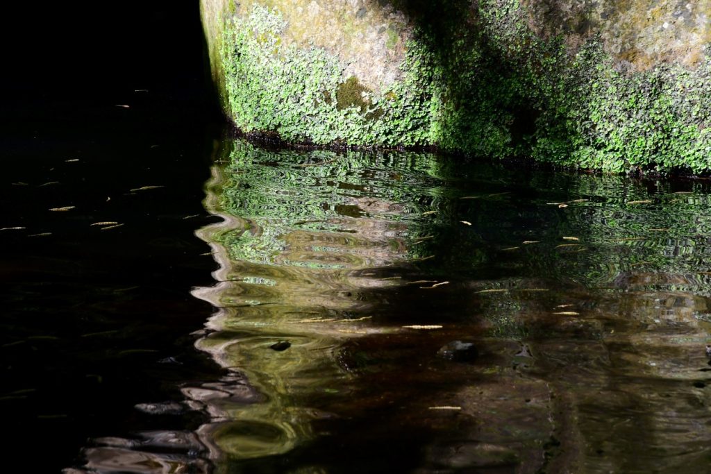 Gole del Biedano, il laghetto della Terza Mola, foto Stefano Ardito