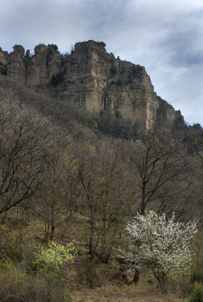 Il Contrafforte pliocenico e la vetta del Monte Adone. Foto Roberto Carnevali