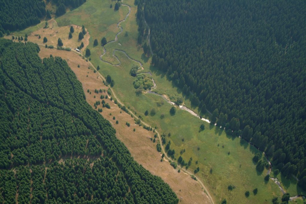 Il corridoio naturale della Green Belt @ Klau Leidorf