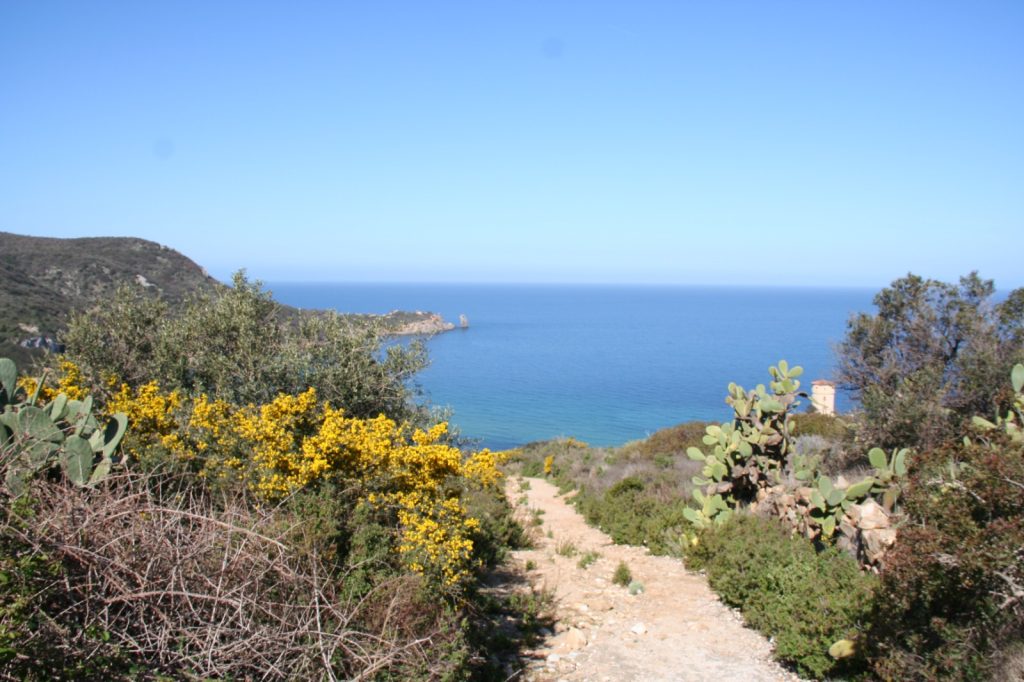 Il sentiero che scende a Campese. Foto Martina Marenco