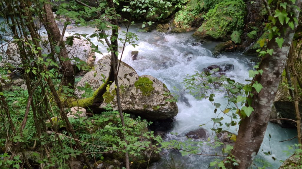 Il torrente che ha scavato le Gole di Lousios. Foto Stefano Ardito