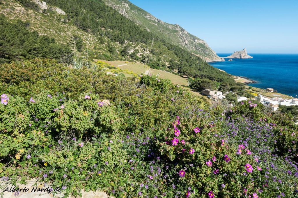 In cammino verso Punta Troia. Foto Alberto Nardi