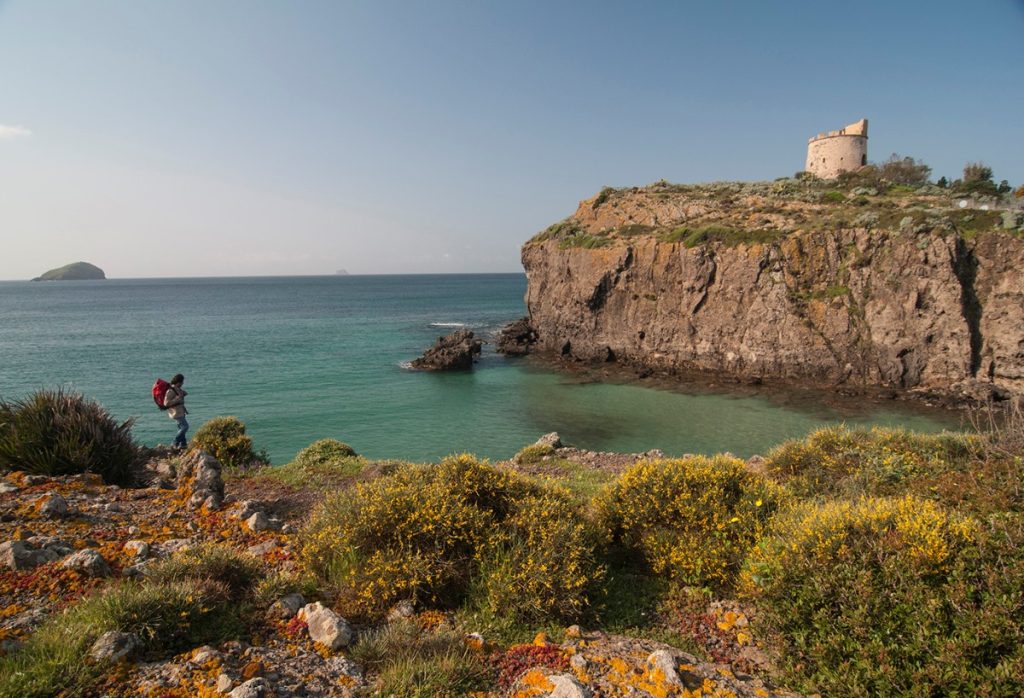 La Torre Canai, presso il Capo di Su Moru. Foto Lino Cianciotto