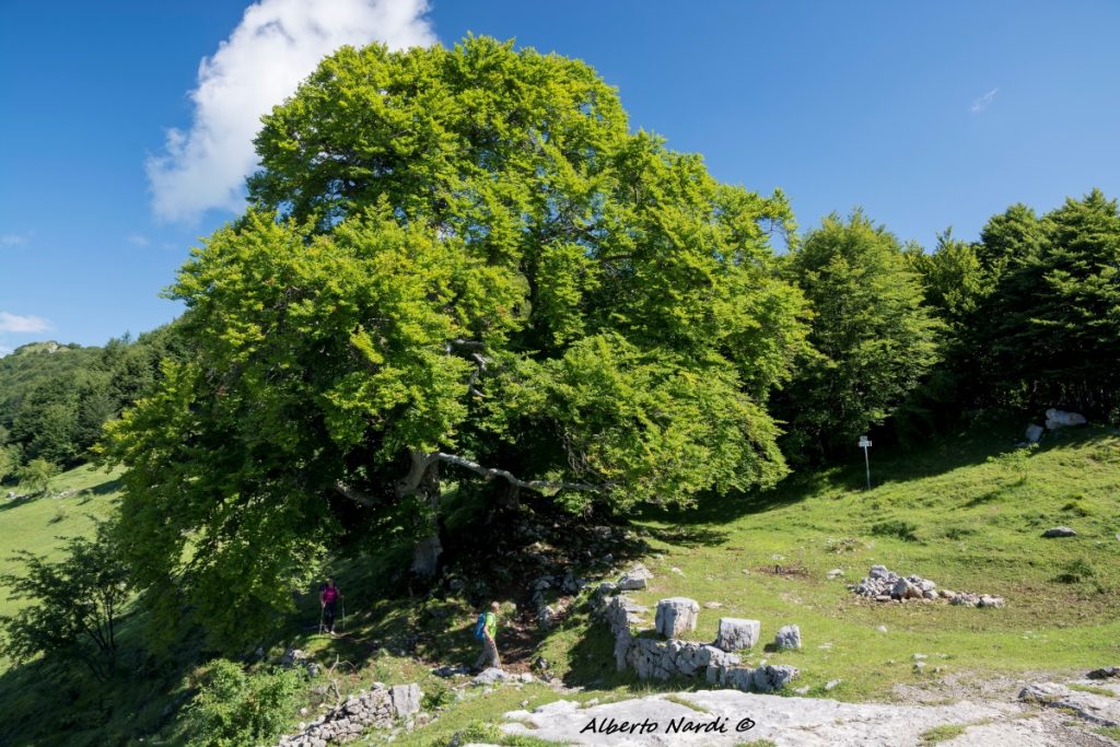 Località Tre Faggi. Foto Alberto Nardi