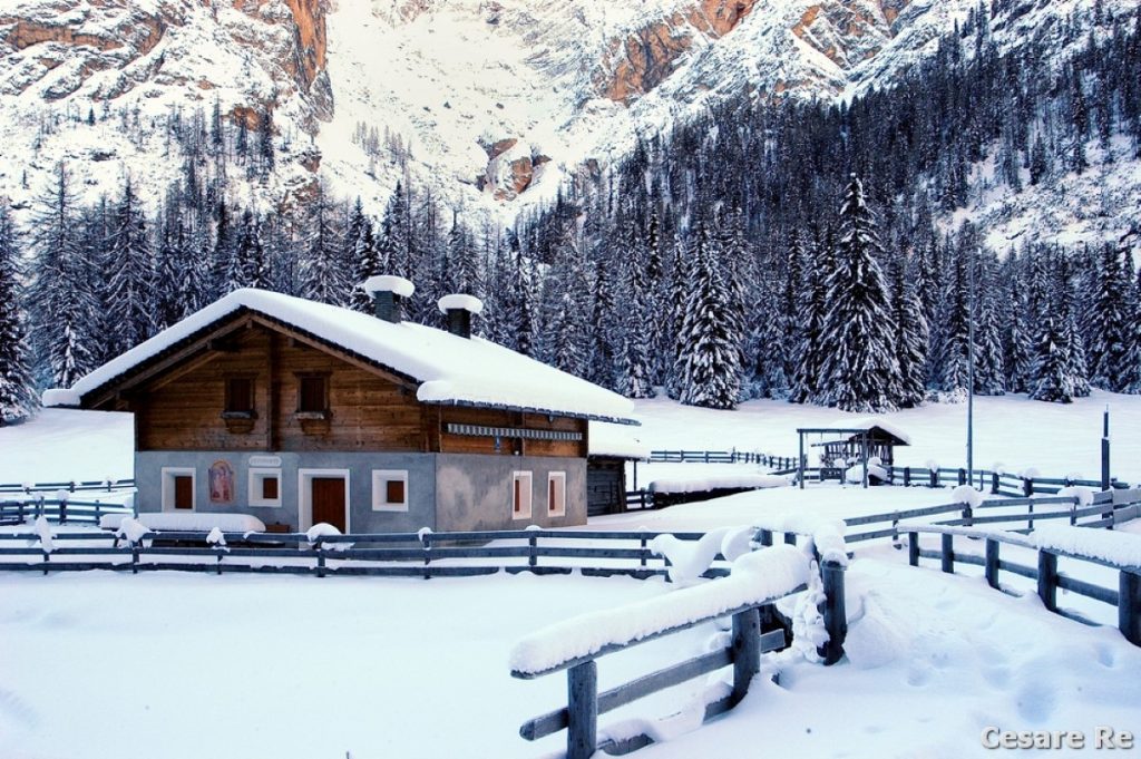 Malga Foresta. Foto Cesare Re