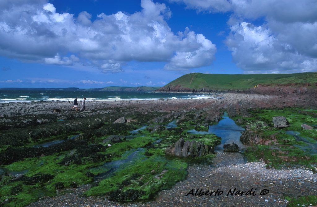 Manorbier Bay durante la bassa marea. Foto Alberto Nardi