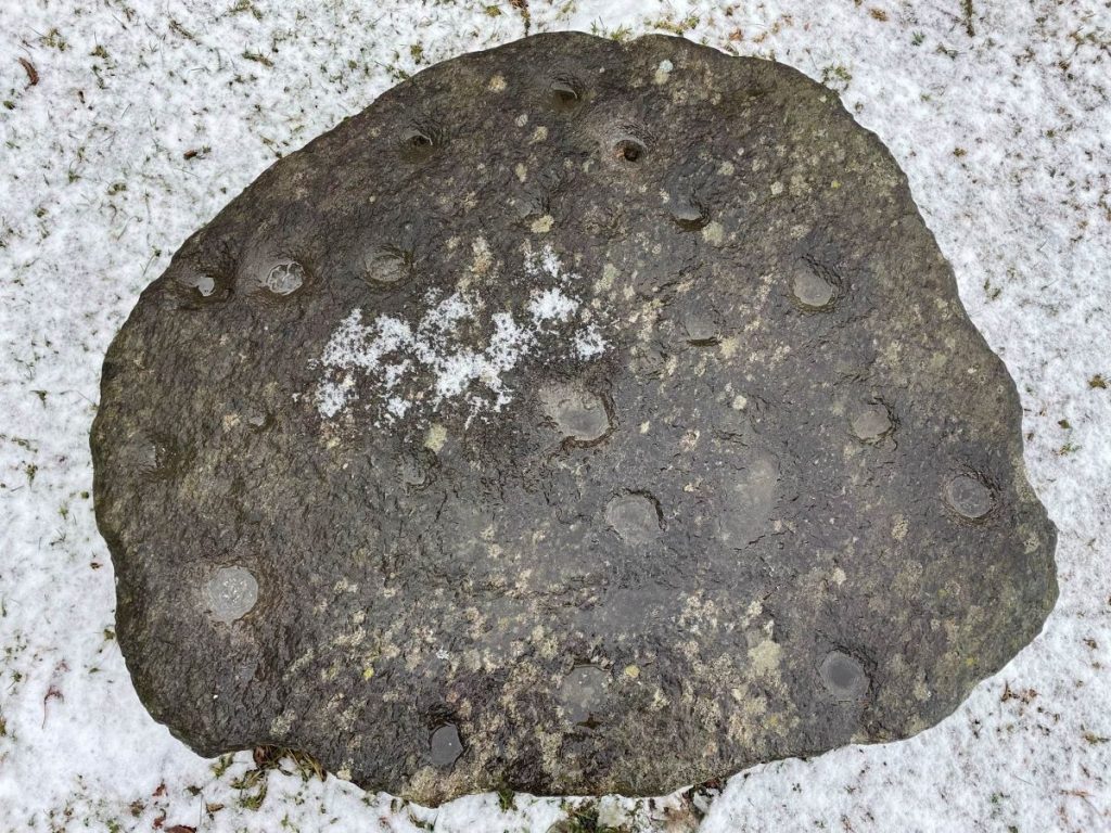 Masso coppellato in bassa Valmalenco. Foto Michele Comi