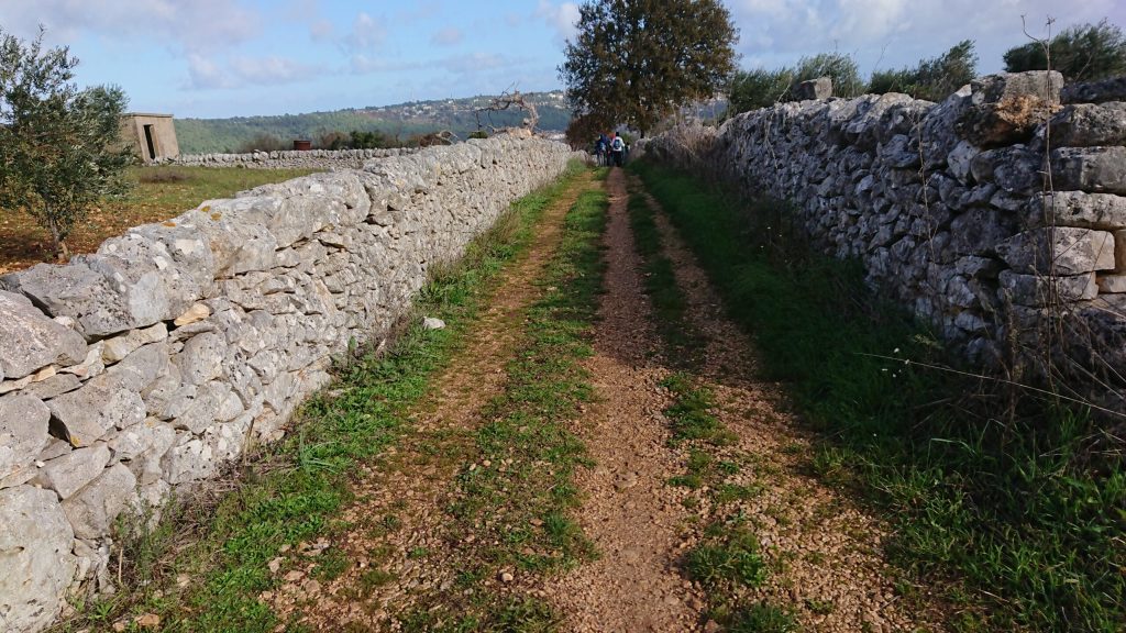 Muretti a secco sulla Rotta dei due mari, in Puglia