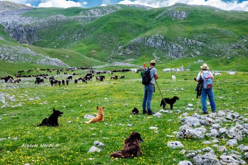 Piano di Fonte Fredda. Foto Alberto Nardi
