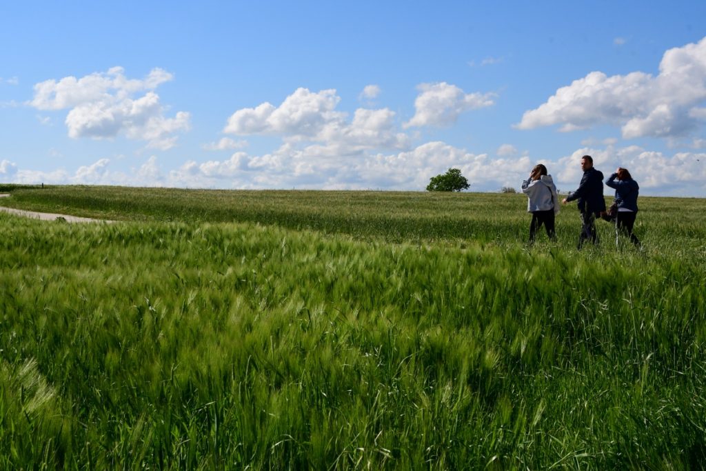 Punta Aderci, tra i campi. Foto Stefano Ardito