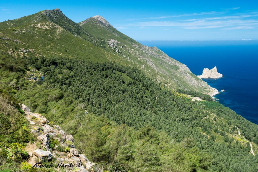 Salendo a Pizzo Falcone. Foto Alberto Nardi