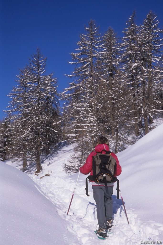 Salendo verso il Ranzola. Foto Cesare Re