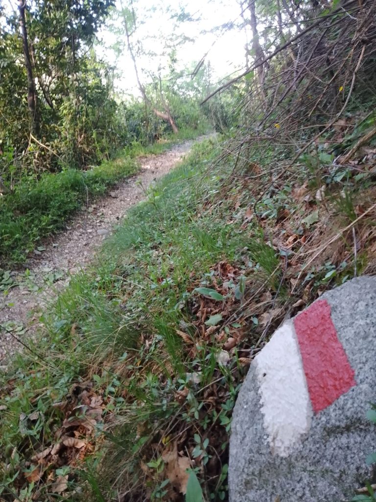 Segnavia poco dopo la partenza. Foto Marco Zanchetta